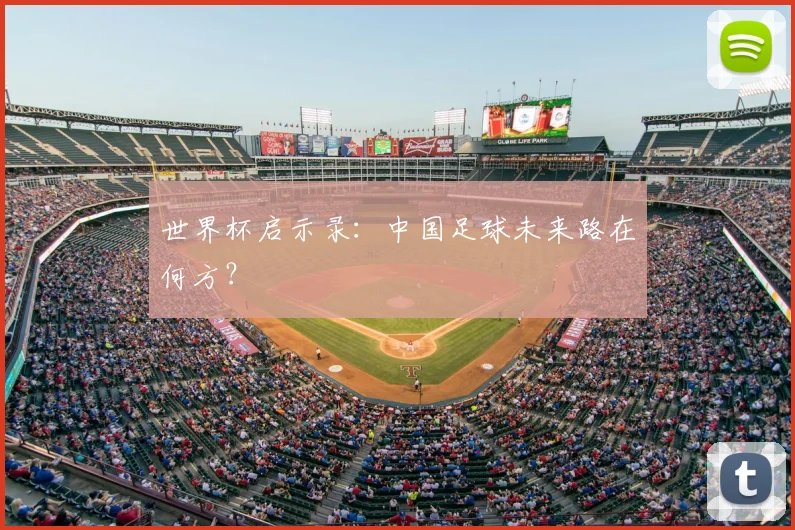 世界杯启示录：中国足球未来路在何方？