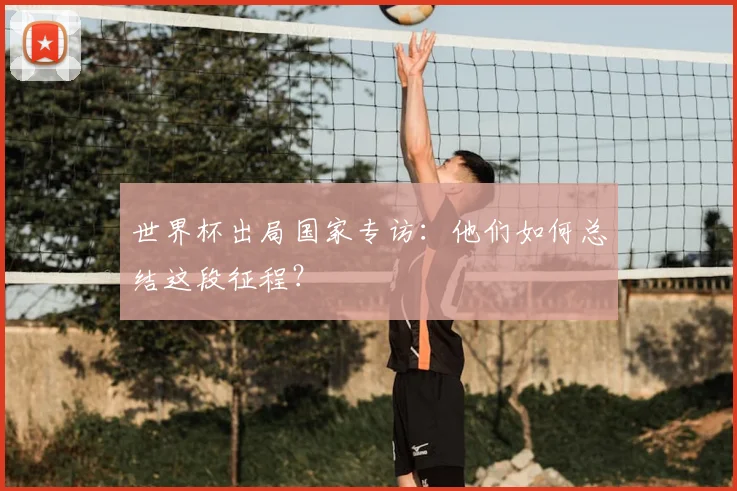 世界杯出局国家专访：他们如何总结这段征程？