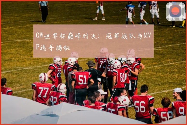 OW世界杯巅峰对决：冠军战队与MVP选手揭秘