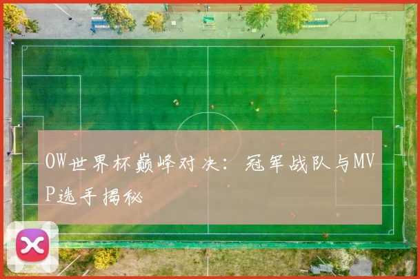 OW世界杯巅峰对决：冠军战队与MVP选手揭秘